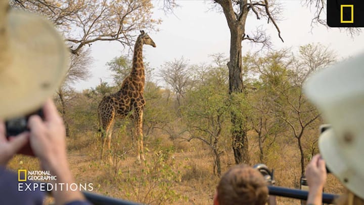 Top Five Experiences in New Nat Geo Expeditions Southern Africa Itinerary